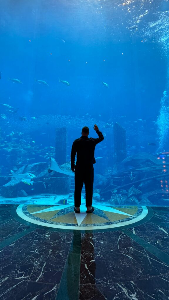 Person viewing marine life through large aquarium window in Dubai.